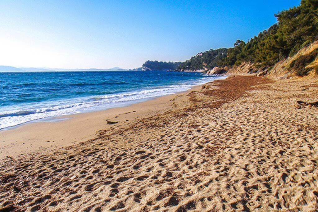Superbe T2 Lumineux 3*** 10 Mn A Pied De La Plage Le Pradet Exterior photo