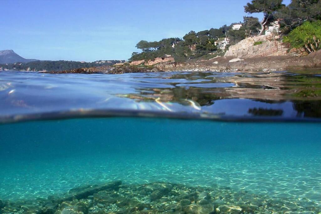 Superbe T2 Lumineux 3*** 10 Mn A Pied De La Plage Le Pradet Exterior photo